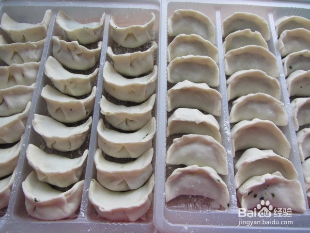 荠菜笋尖猪肉饺