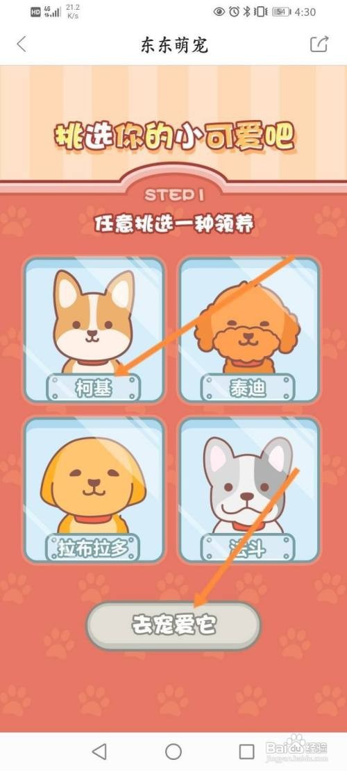 东东萌宠怎么领养萌宠
