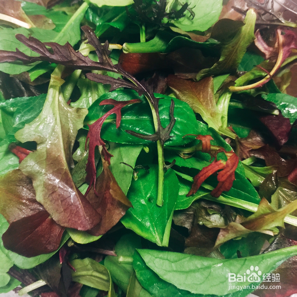 在家也能做的素食蘑菇芝麻菜三明治