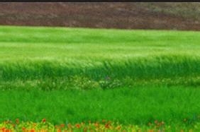 监理施工要点56