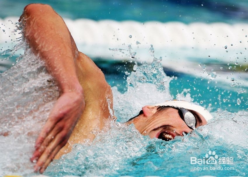 分享自己的自由泳游泳经验