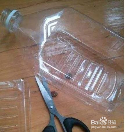 怎样在室内种植蘑菇