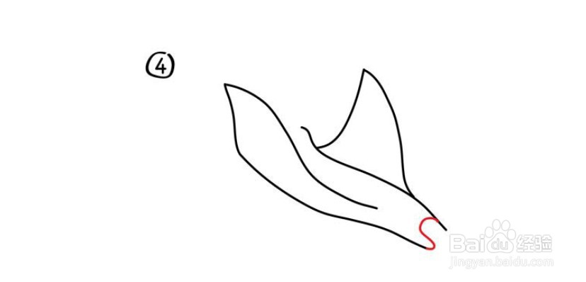 怎么画一条魔鬼鱼？