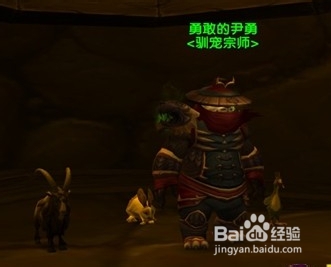 魔兽世界wow战斗宠物怎么升级如何快速升级宠物