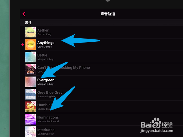 iPad Pro 怎样给视频加上即时字幕？