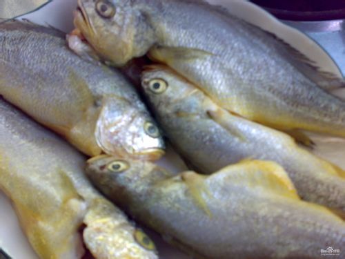 虾鲜酱清蒸黄鱼