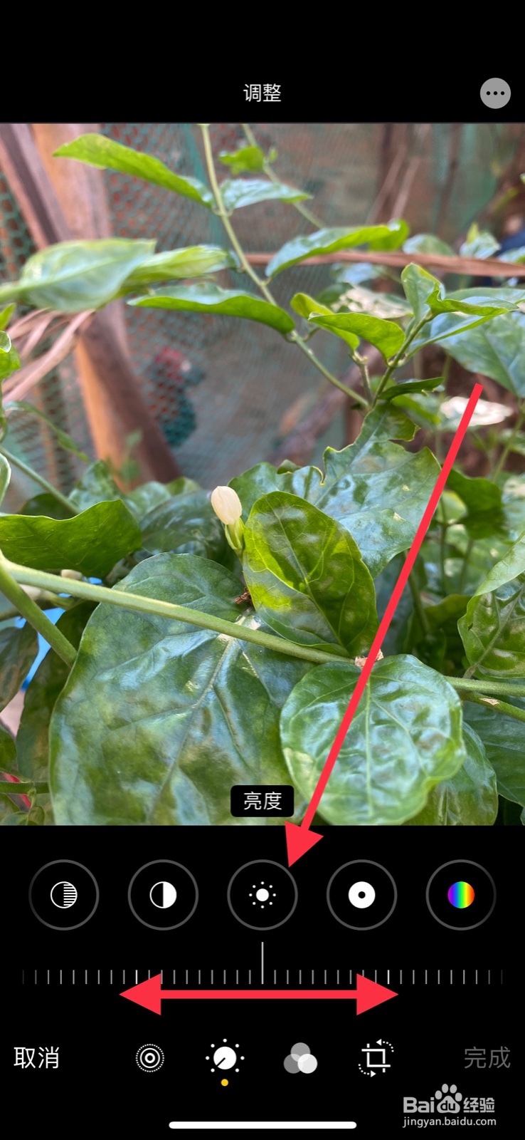 iPhone怎样调整照片亮度