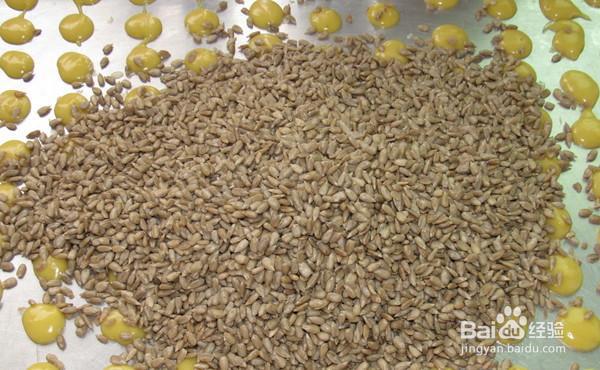 如何做有胃口的口口香瓜子饼