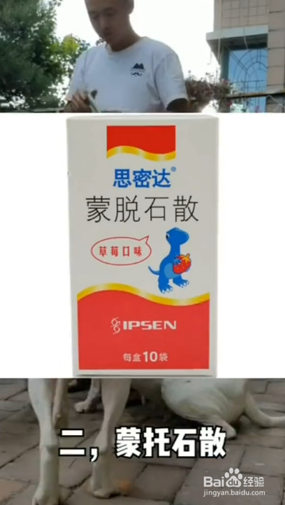 家中养狗需要必备哪些物品?