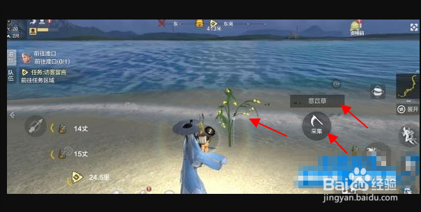 《妄想山海》薏苡在哪？