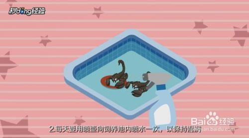小蝎子生下来该怎么养