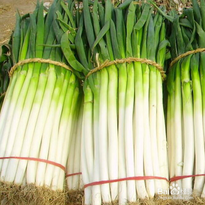 如何使食物保鲜