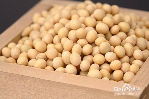 哪些日常食物能够增强孩子抵抗力