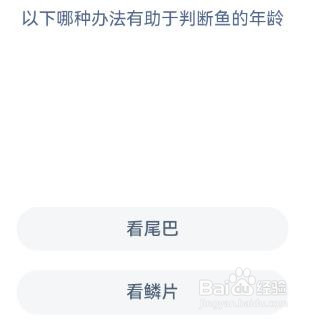 哪种办法有助于判断鱼的年龄神奇海洋12.20