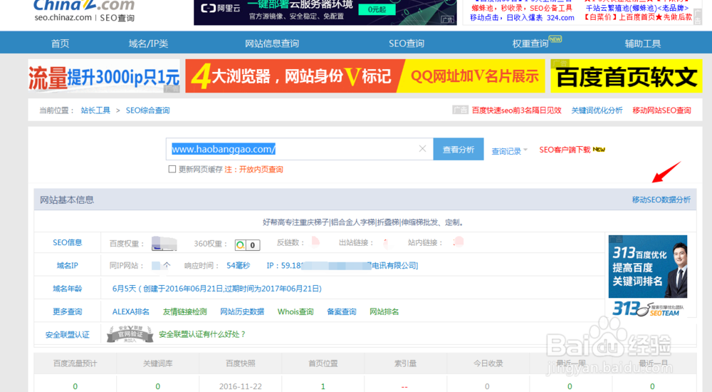 怎么查看移动端手机网站的SEO数据