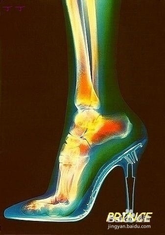 数百个你不知道的小知识：[3]