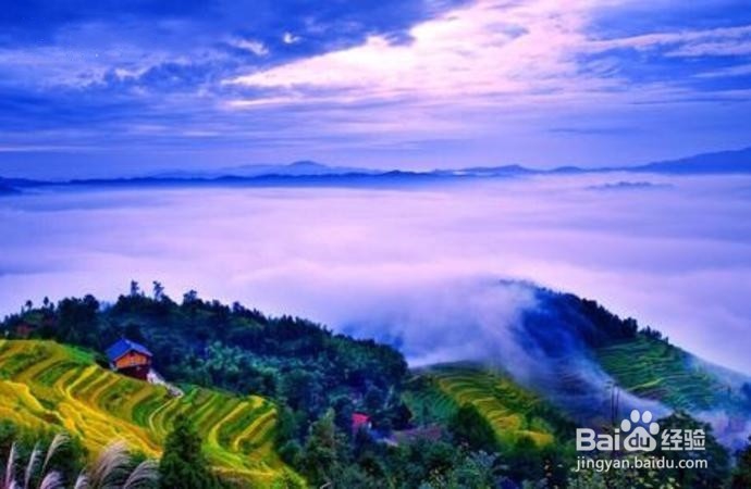 紫鹊界梯田，智慧与勤劳的完美结合