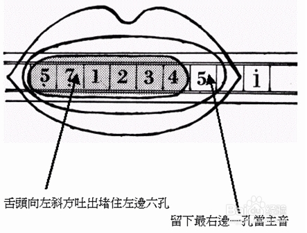 口琴舌头怎么放图解