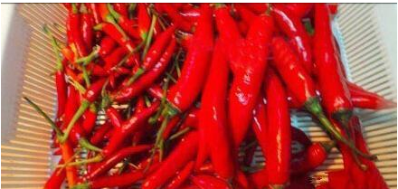 辣椒二次加工,绝仅仅只是调味品