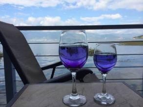 黑枸杞适用哪些人群呢