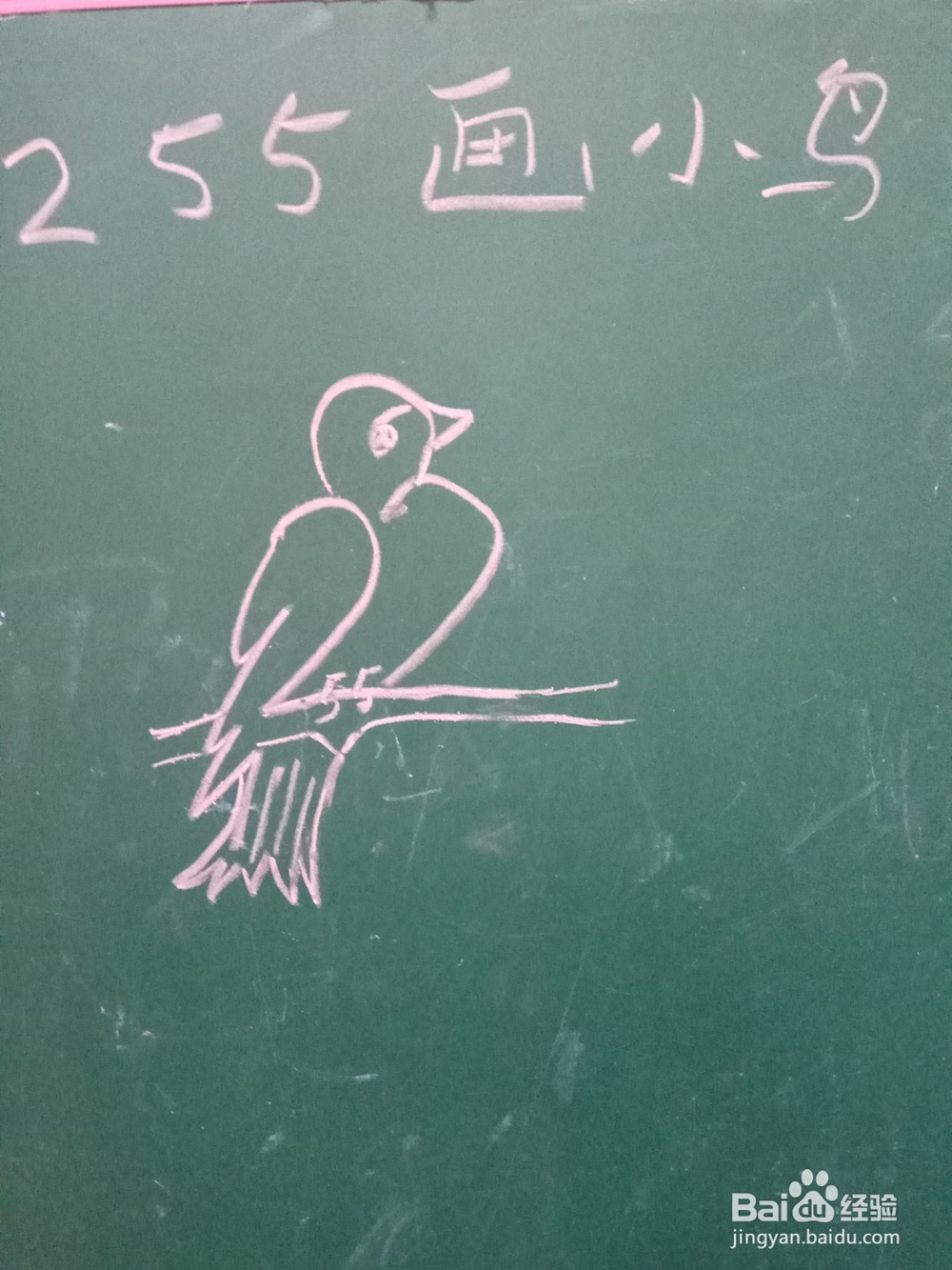 用数字2255画简笔画小鸟