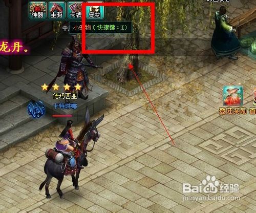 九龙朝宠物培养介绍