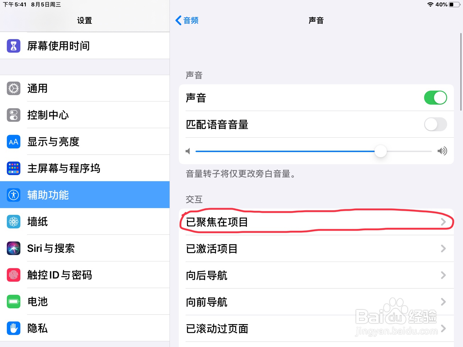 iPad怎么在旁白打开已聚焦在项目的声音