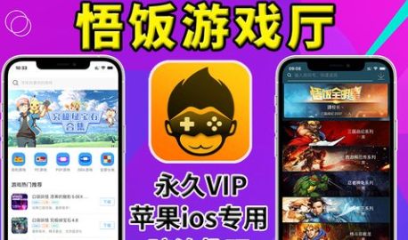 如何设置《悟饭游戏厅》中的手柄