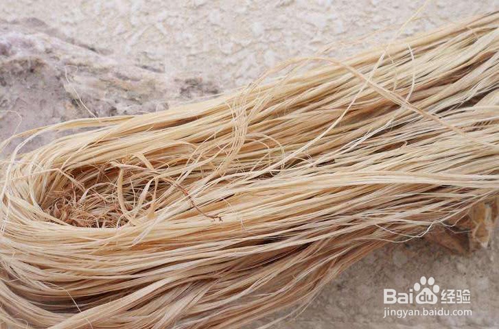 路边不起眼的野草有“纤维之王”的美誉