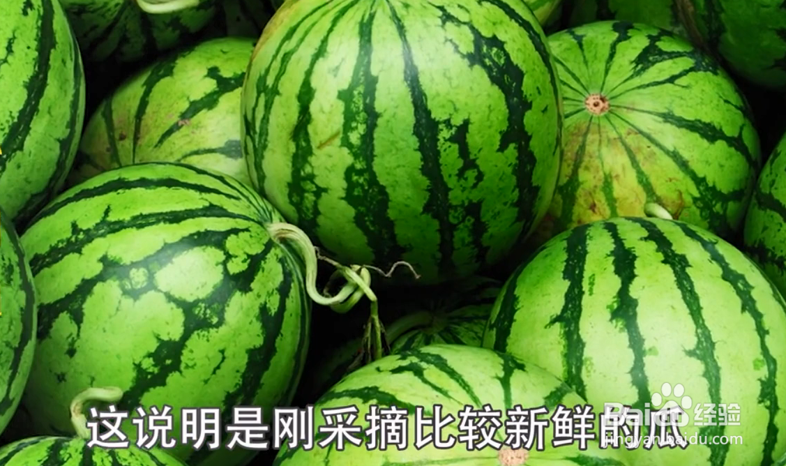 如何挑选西瓜？