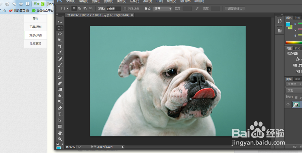 ps 如何打开或插入一张图片