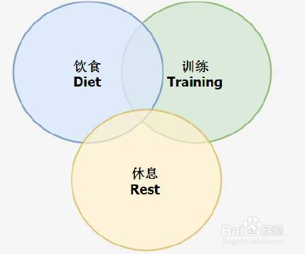 如何进行科学有效的减脂美腿？