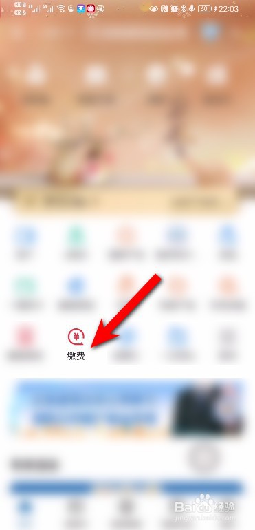医保显示已申报怎么缴费