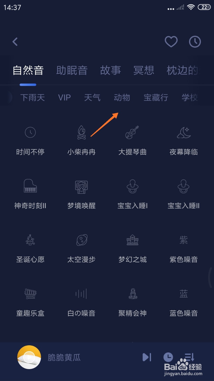 蜗牛睡眠中怎么播放猫咪呼噜