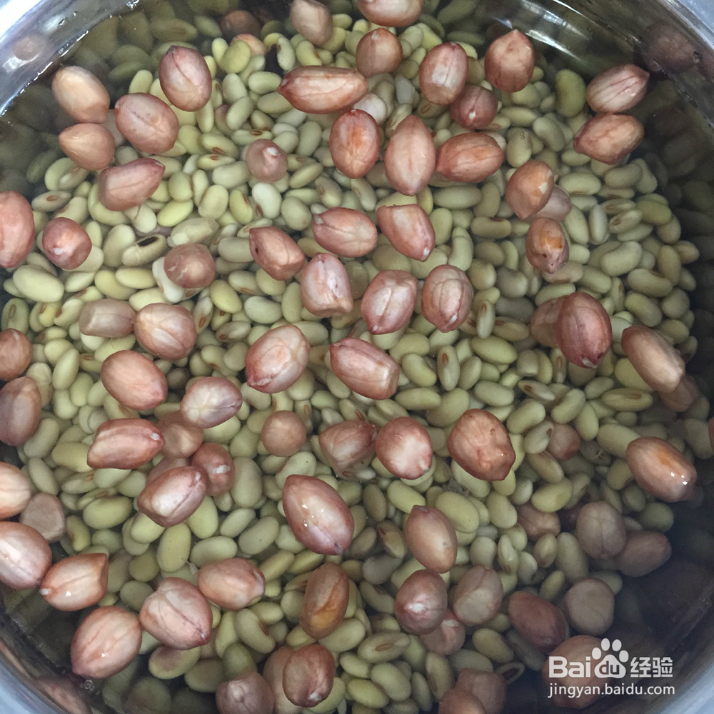 有韧性的胆水豆腐