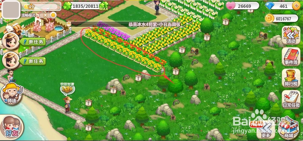 怎样购买植物向日葵？