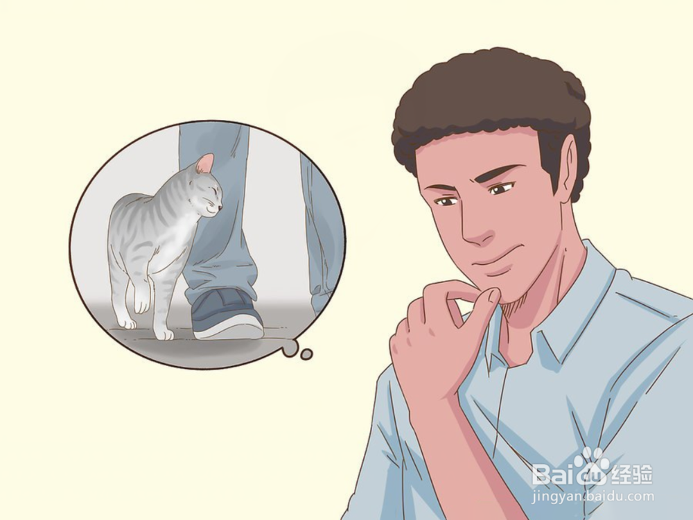 3个步骤教您如何快速与您的猫沟通（图文）