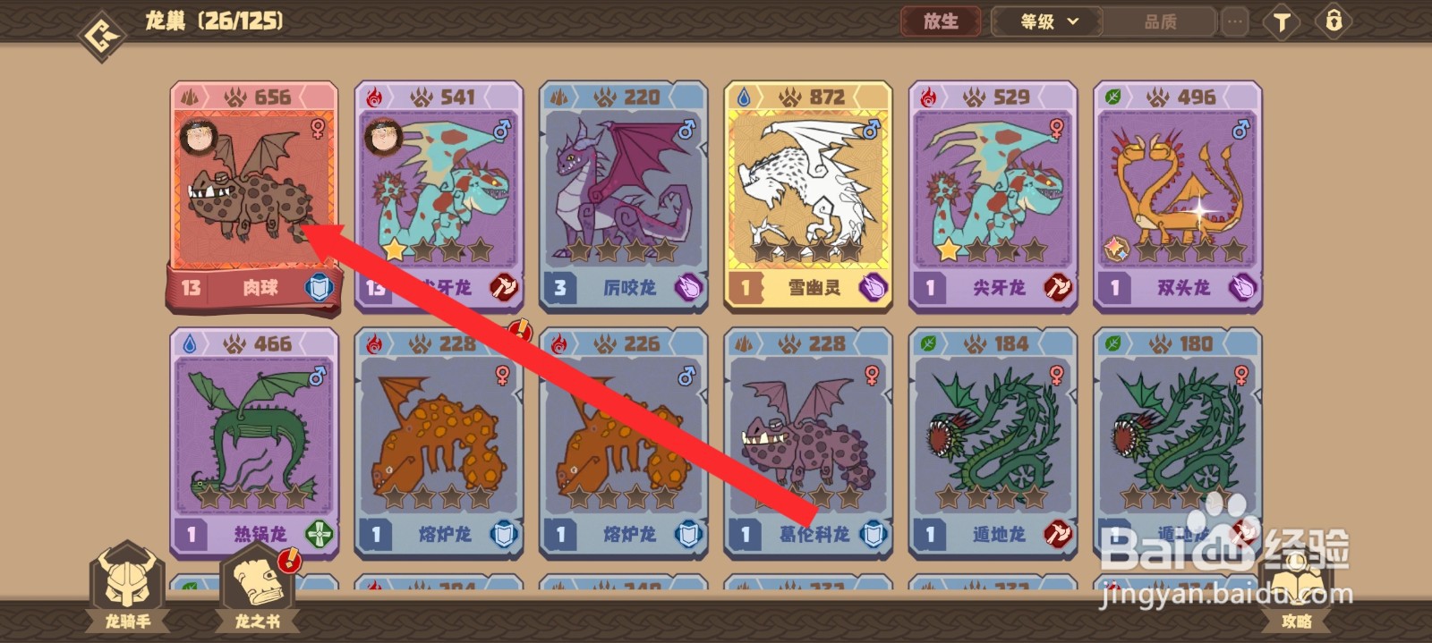 驯龙高手旅程的肉球龙如何共鸣