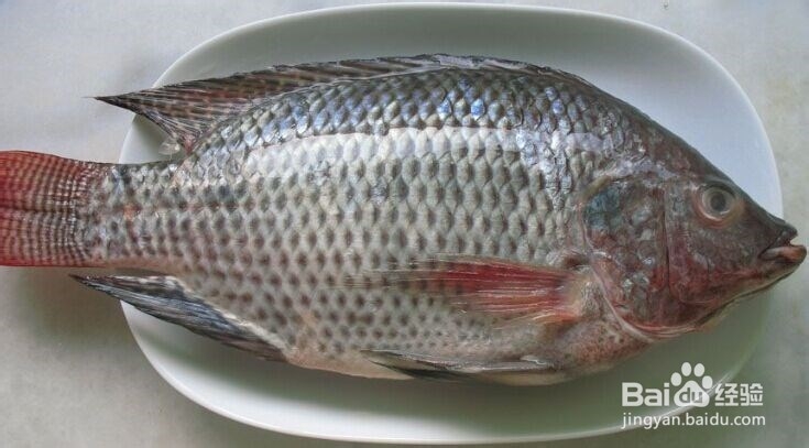 如何简单蒸罗非鱼