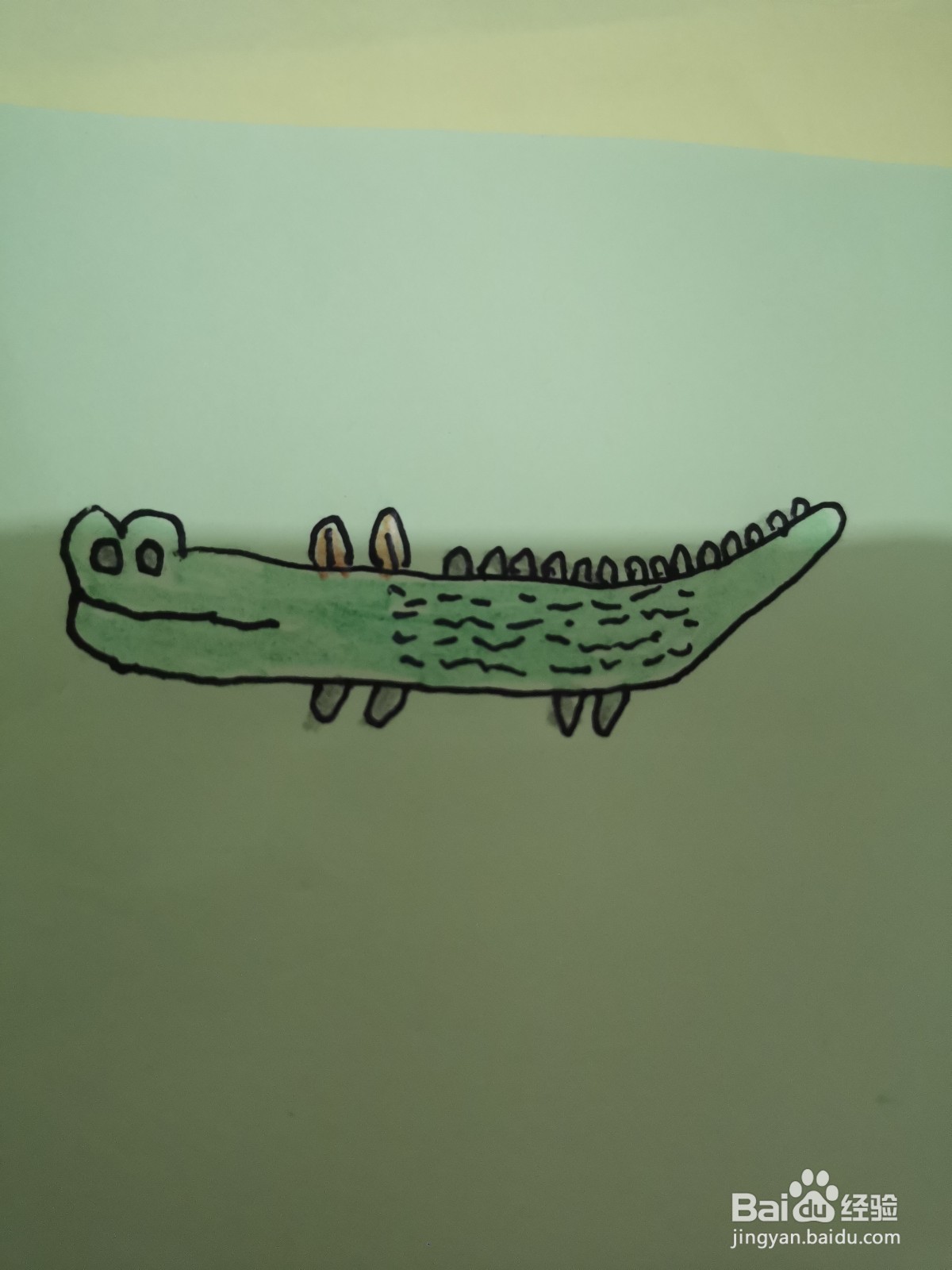 简笔画鳄鱼怎么画？