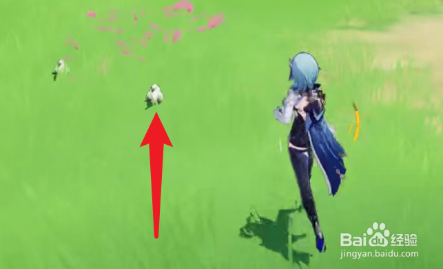 原神2.3雪团雀在哪里