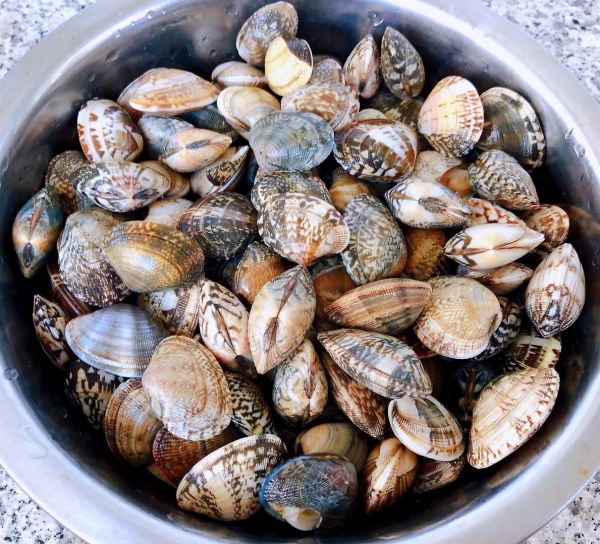 蒜蓉辣椒酱炒花甲