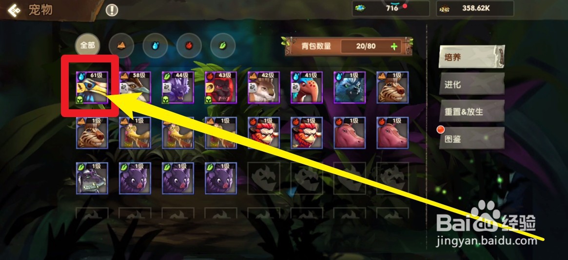 疯狂原始人2怎么提升宠物等级