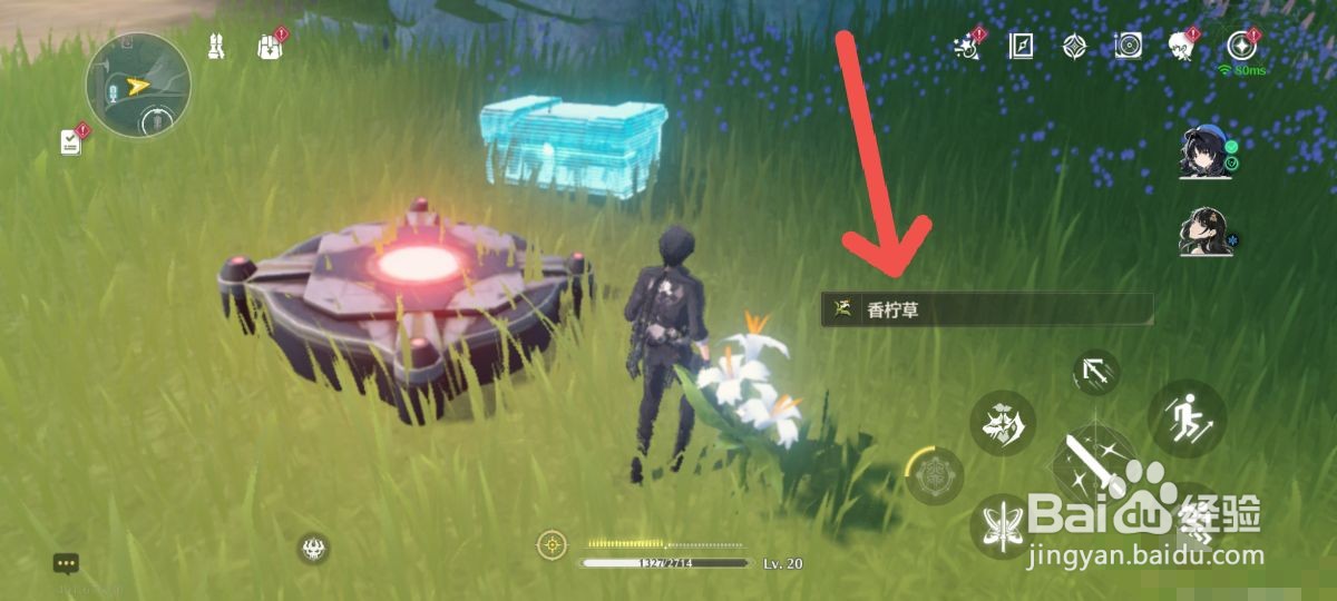 鸣潮香柠草采集攻略