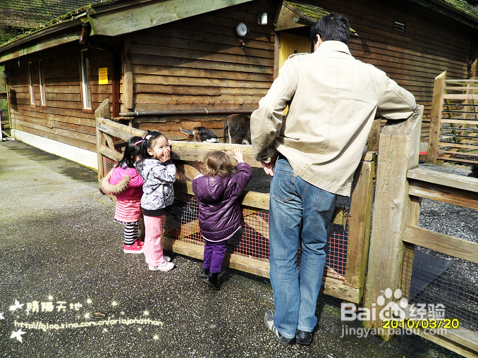 拾海的孩子&亲亲小动物(组图)