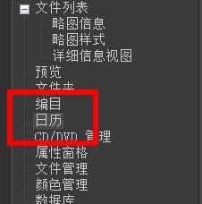ACDSee过滤器配置为应用高级文件列表过滤器