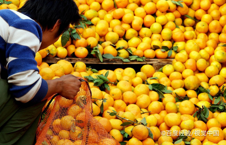 橘子皮有哪些药用效果