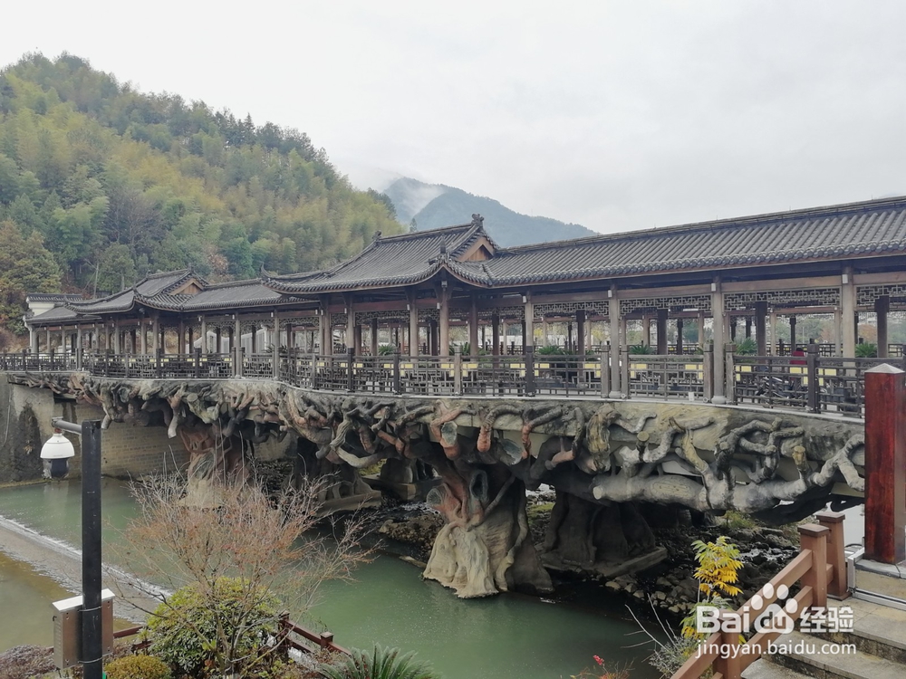 如何游览景宁县城——金园丽景小区溪边小环线