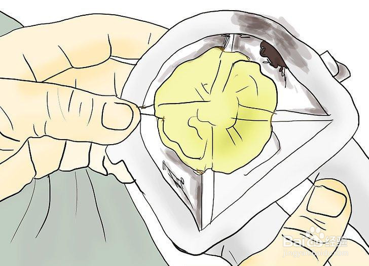 如何更换洗衣机水泵