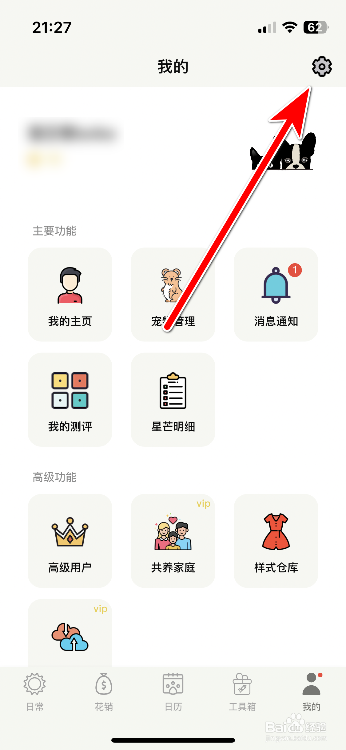 宠日常如何设置个人性别
